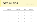the lines_rozmiary_ostuni top.png